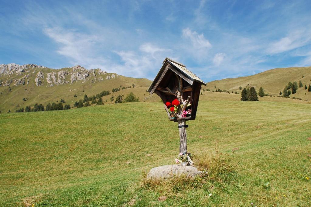 Cimon Dolomites Hotel Predazzo Bagian luar foto